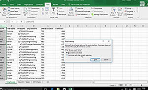 Microsoft Excel 2016 Level 2.2: Working with Lists