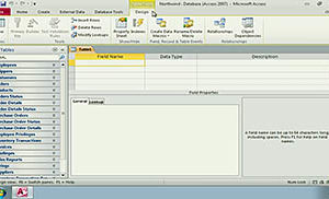 Microsoft Office 2010 and Windows 7: What's New in Access 2010?
