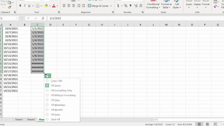 Mastering Excel 365 - Beginner Part 2: Data Entry - Image 3