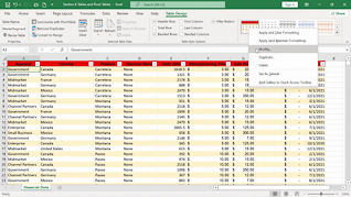 Mastering Excel 365 - Intermediate Part 3: Formatting - Image 2