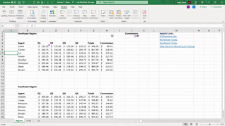 Mastering Excel 365 - Intermediate Part 2: Workbook Views - Image 3